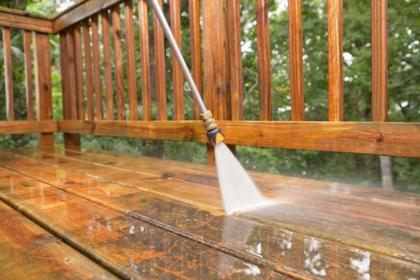 Best Driveway Pressure Washing  in Princeton Meadows, NJ